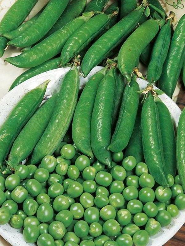 Горох АКСАЙСКИЙ УСАТЫЙ 7&nbsp;